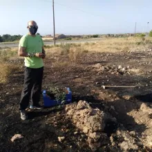 Desolación