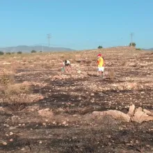 Bosque quemado
