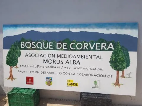 Cartel Corvera