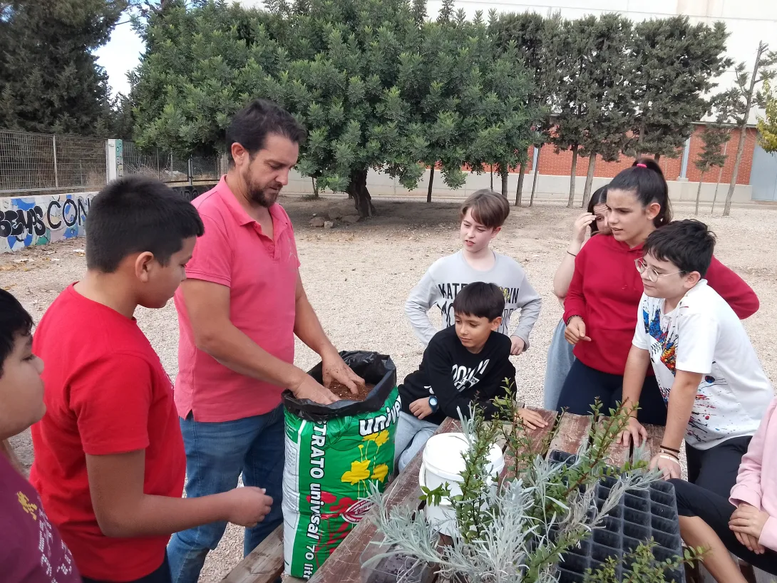 Preparación del sustrato